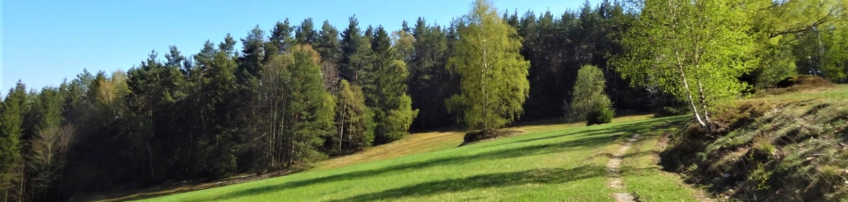 Field path in the Nordwald Nature Park, © Verein Naturpark Nordwald