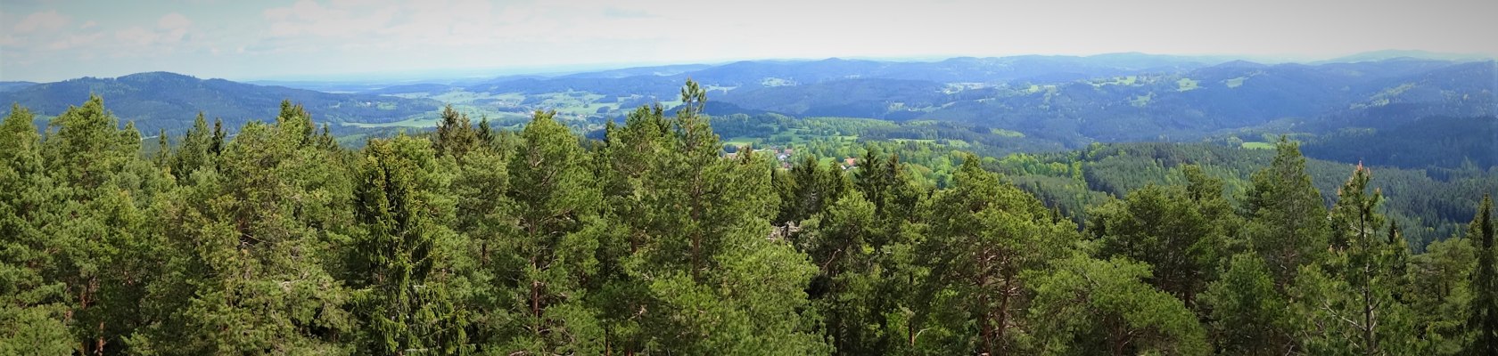 Weitblick vom Aussichtsturm am Schwarzenberg, © Verein Naturpark Nordwald